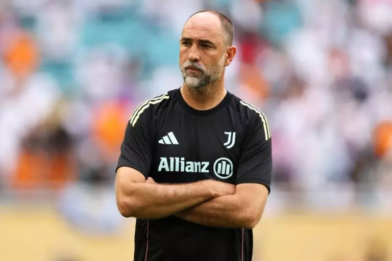 إيجور تيودور